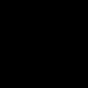 Meet your Posher, Armando